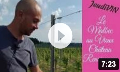 malbec-vin-sauveterre-de-guyenne